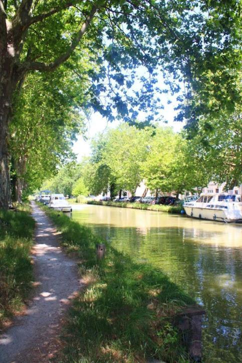 L'Appart Du Canal Carcassonne Zewnętrze zdjęcie
